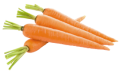 Carottes