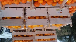 Ecorces d'oranges confites